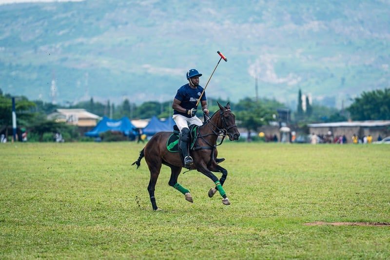 polo