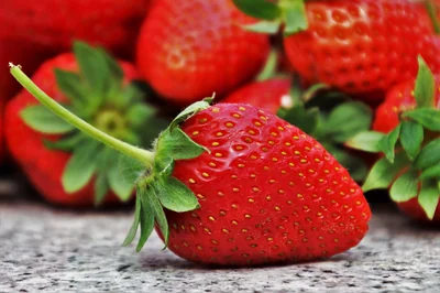Quel est le véritable impact environnemental de votre alimentation sur le climat ?